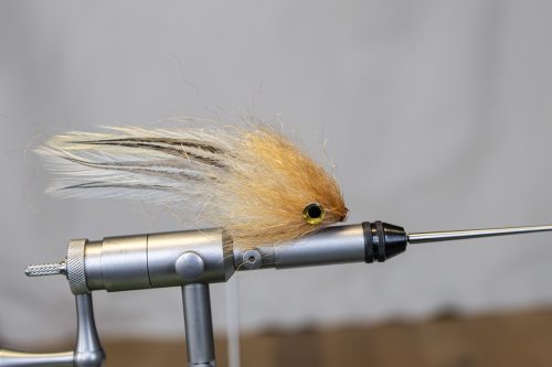 tiger-fish-streamers-19