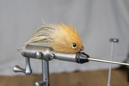 tiger-fish-streamers-20