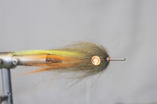 tiger-fish-streamers-21