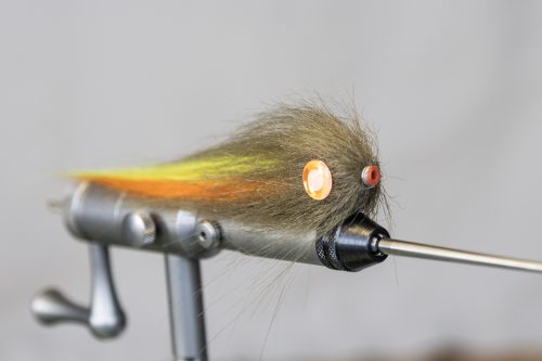 tiger-fish-streamers-22
