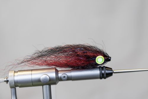 tiger-fish-streamers-23