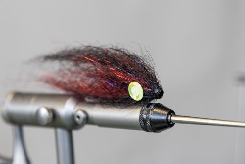tiger-fish-streamers-24