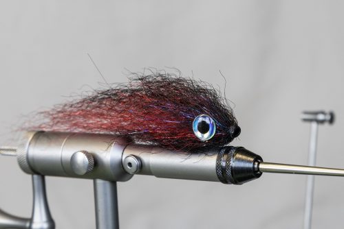 tiger-fish-streamers-25