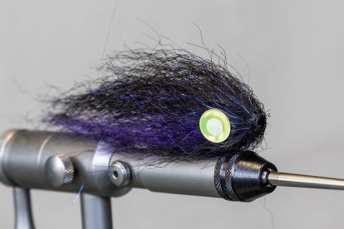 tiger-fish-streamers-27