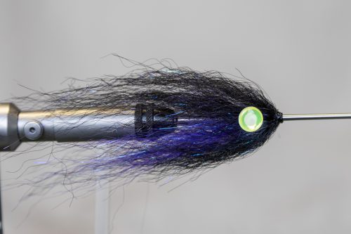 tiger-fish-streamers-28