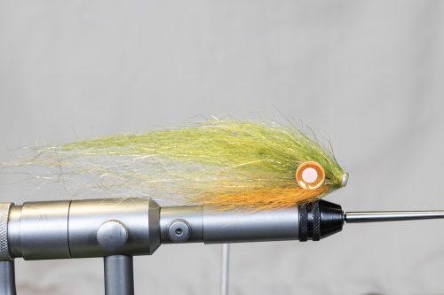 tiger-fish-streamers-30