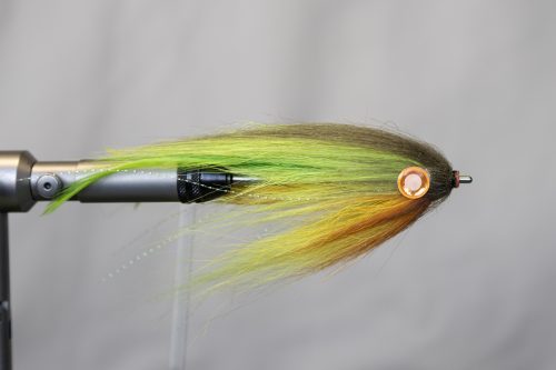 tiger-fish-streamers-31
