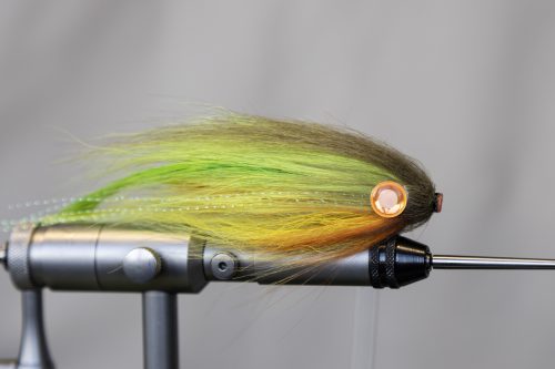 tiger-fish-streamers-32