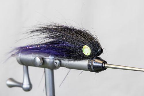 tiger-fish-streamers-34