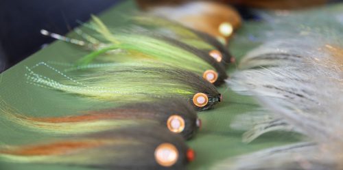 tiger-fish-streamers-37