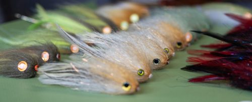 tiger-fish-streamers-38