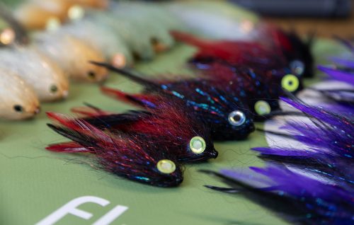 tiger-fish-streamers-40