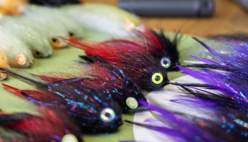 tiger-fish-streamers-41