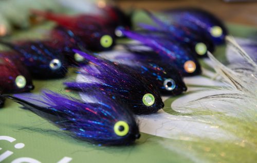 tiger-fish-streamers-42