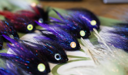tiger-fish-streamers-43
