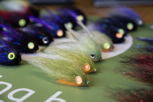 tiger-fish-streamers-44