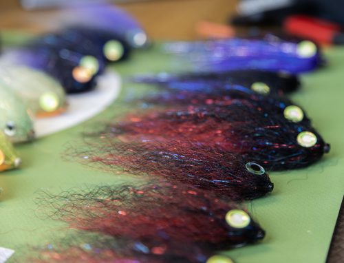 tiger-fish-streamers-45