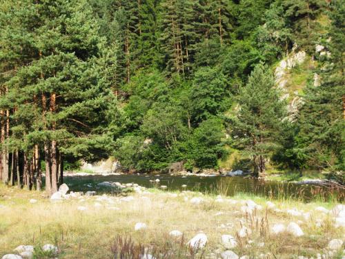 troun-in-rila-joro-praskov-02