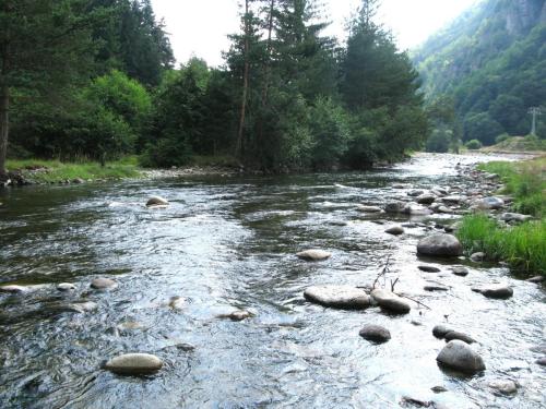 troun-in-rila-joro-praskov-05