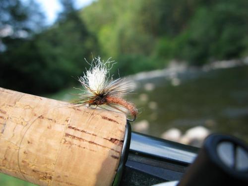 troun-in-rila-joro-praskov-09