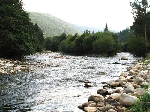 troun-in-rila-joro-praskov-16