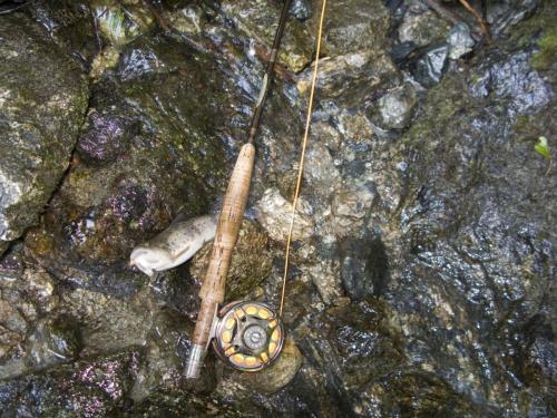 trout-between-heaven-and-hell-06