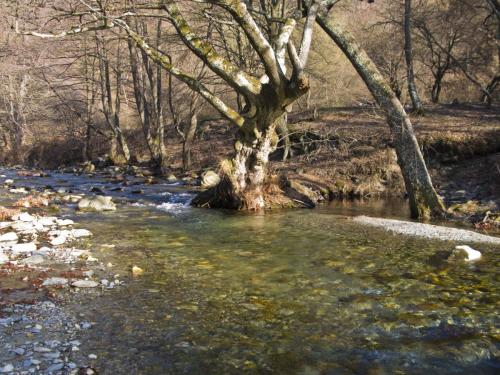 trout-between-heaven-and-hell-07