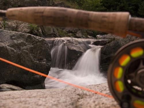 trout-between-heaven-and-hell-10