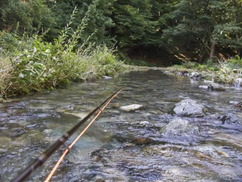 trout-between-heaven-and-hell-11