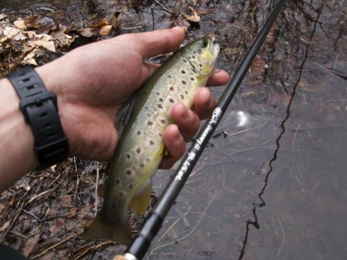 trout-between-heaven-and-hell-14