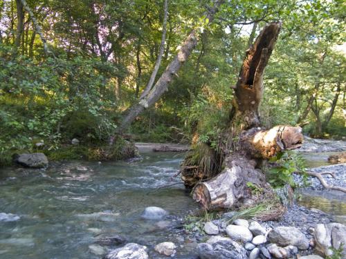 trout-between-heaven-and-hell-16