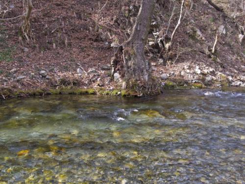 trout-between-heaven-and-hell-17