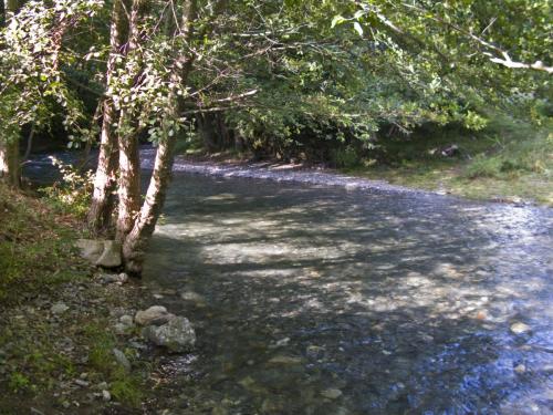 trout-between-heaven-and-hell-19
