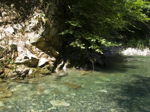 trout-between-heaven-and-hell-21