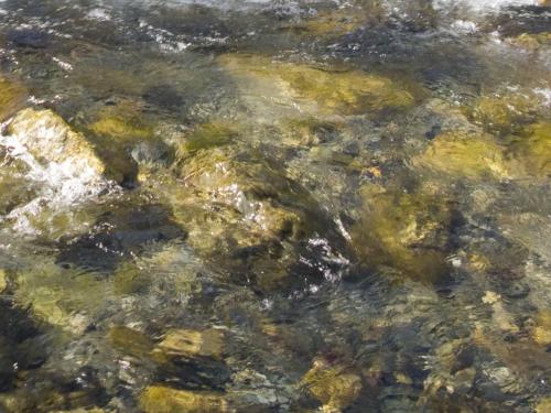 trout-between-heaven-and-hell-24