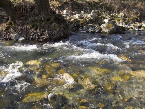 trout-between-heaven-and-hell-29