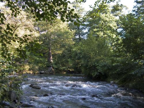 trout-between-heaven-and-hell-32