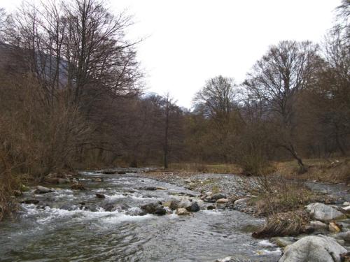 trout-between-heaven-and-hell-33