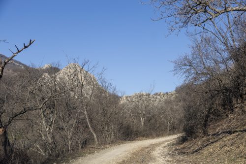 trout-fishing-mart-2026-stara-planina-02