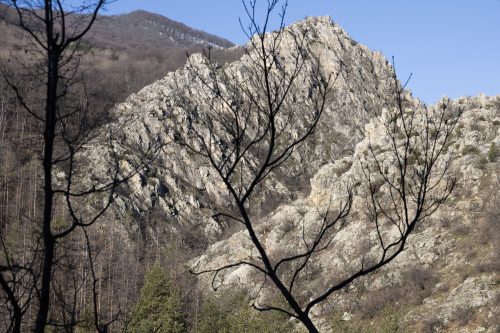 trout-fishing-mart-2026-stara-planina-03
