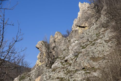 trout-fishing-mart-2026-stara-planina-08