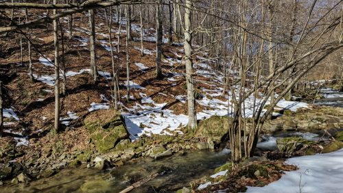 trout-fishing-mart-2026-stara-planina-09