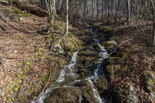 trout-fishing-mart-2026-stara-planina-10