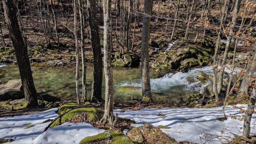 trout-fishing-mart-2026-stara-planina-11