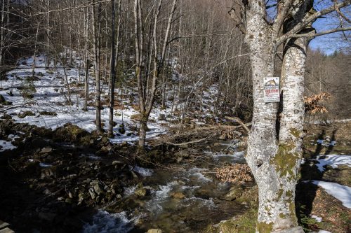 trout-fishing-mart-2026-stara-planina-12