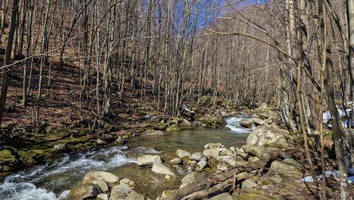 trout-fishing-mart-2026-stara-planina-13
