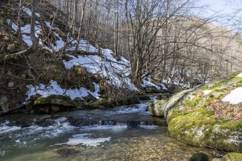 trout-fishing-mart-2026-stara-planina-16