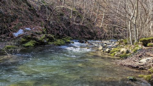 trout-fishing-mart-2026-stara-planina-17