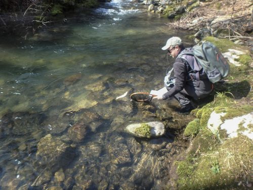 trout-fishing-mart-2026-stara-planina-20