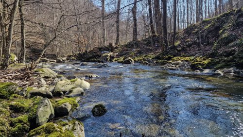 trout-fishing-mart-2026-stara-planina-23